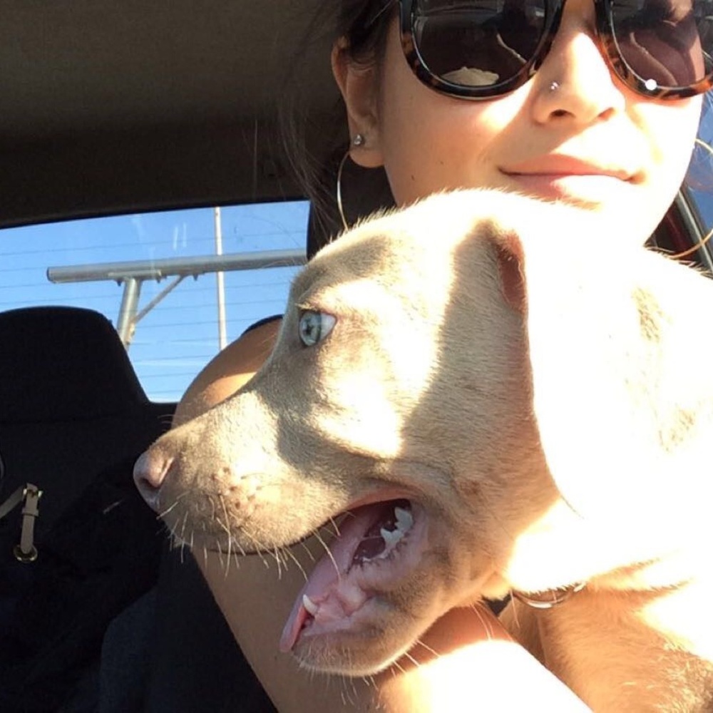 Meet your Posher, Anuhea